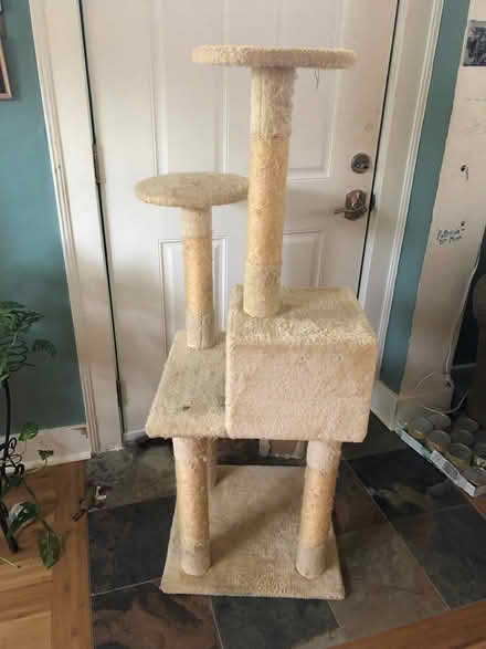 Photo of free Cat Tree (Tacoma (98405)) #3