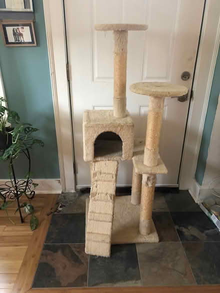 Photo of free Cat Tree (Tacoma (98405)) #2