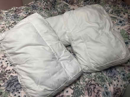 Photo of free Double duvet + 4 pillows (WA14) #1