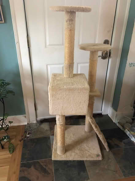 Photo of free Cat Tree (Tacoma (98405)) #1