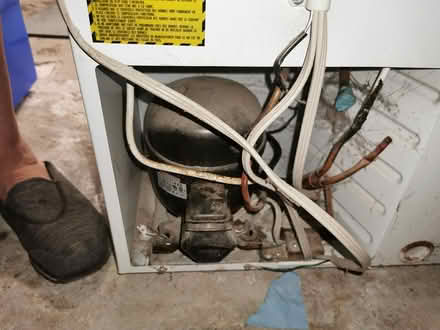 Photo of free Big chest freezer (Vanier north) #1