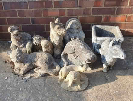 Photo of free Gnomes seeking homes (Ware SG12) #2