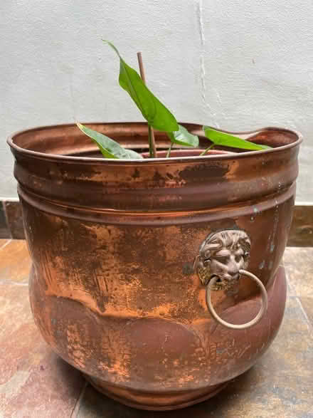 Photo of free Pair of large metal plant pots (South Woodford E18) #1