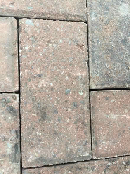 Photo of Block Paving brindle/red (Copsewood CV3) #1