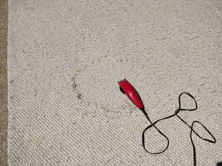 Photo of free 5' x 8' Soft Woven Rug (El Sobrante) #2