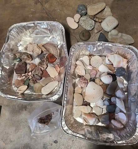 Photo of free Sea shells, stones (cupertino near library) #1