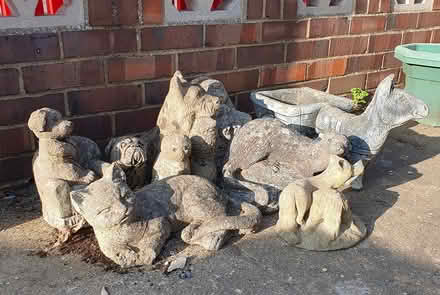 Photo of free Gnomes seeking homes (Ware SG12) #1
