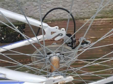 Photo of free Ladies bike (West End LA3) #2