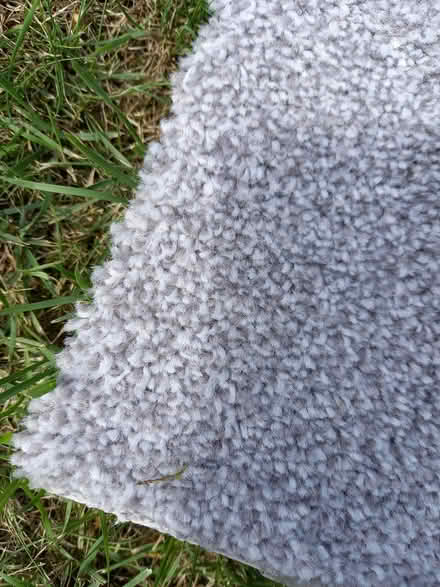 Photo of free Carpet remnant (Rothley) #1