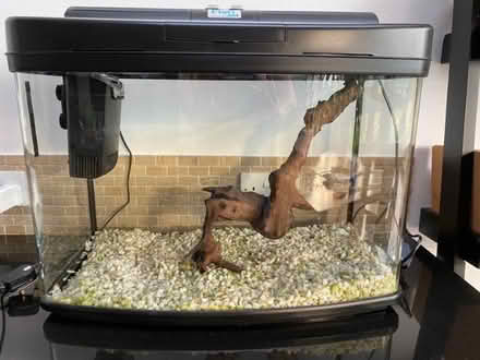 Photo of free Interpet Aquarium 64 litres (Blackburn AB21) #2