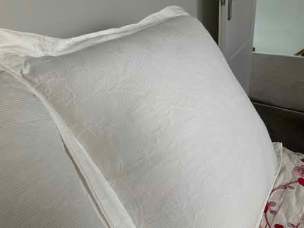 Photo of free Extra large cushions (Marden Thorn TN12) #2