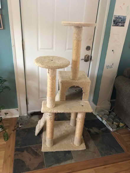 Photo of free Cat Tree (Tacoma (98405)) #4