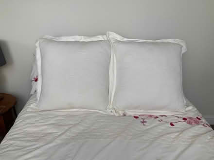 Photo of free Extra large cushions (Marden Thorn TN12) #1
