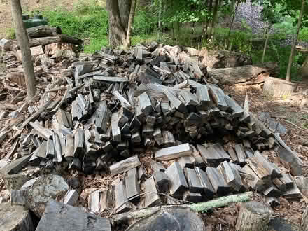 Photo of free fire wood (Goldens Bridge, NY) #1