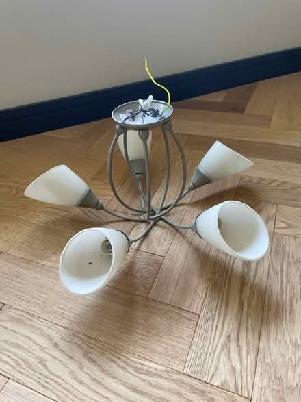 Photo of free Ceiling light (Woking) #1