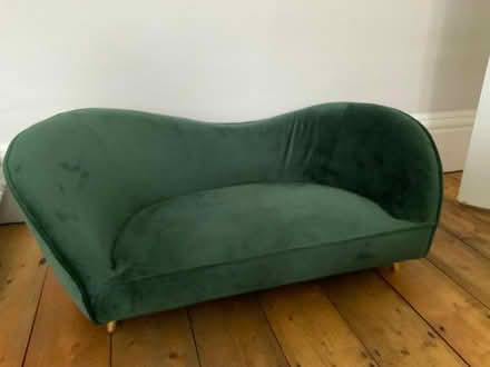 Photo of free Posh dog sofa (Barton upon Irwell M30) #1