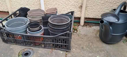 Photo of free Plant pots (Sudbury CO10) #2