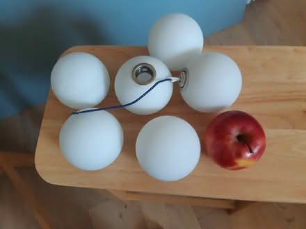 Photo of free 6 glass globes (Portobello EH15) #1