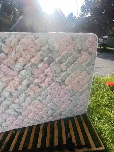Photo of free Full-Sized Bed Complete CLEAN (Downtown Iithaca) #1