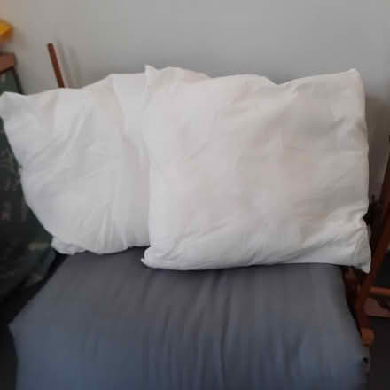 Photo of free Two large cushion pads for covering (North Bitchburn DL15) #1