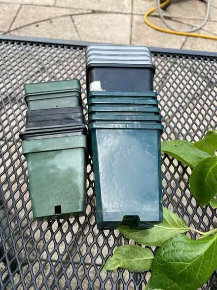 Photo of free Small Square Plastic plant pots (Nast Hyde Farm AL10) #1