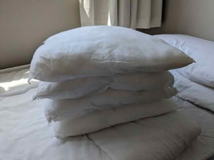Photo of free Cushion pads (Woodstock OX20) #1