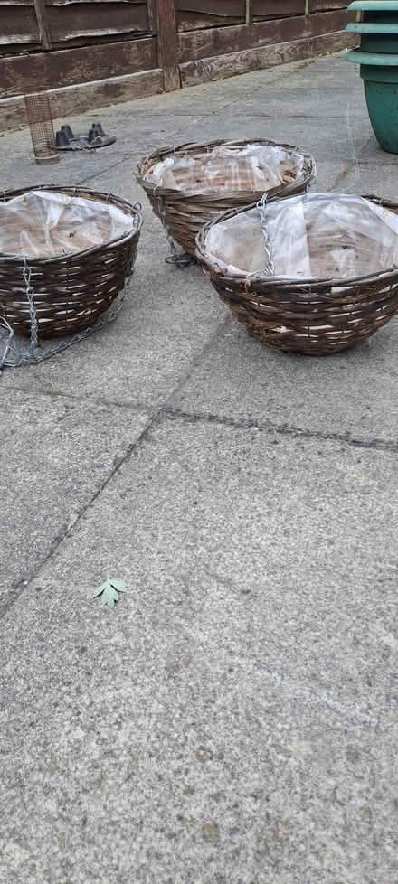 Photo of free Hanging baskets (Sudbury CO10) #1