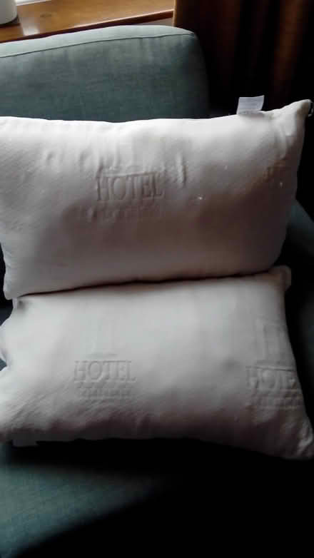 Photo of free Pillows (Hinckley LE10) #1