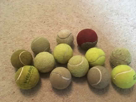 Photo of free Old clean tennis balls (Coulsdon CR5) #1