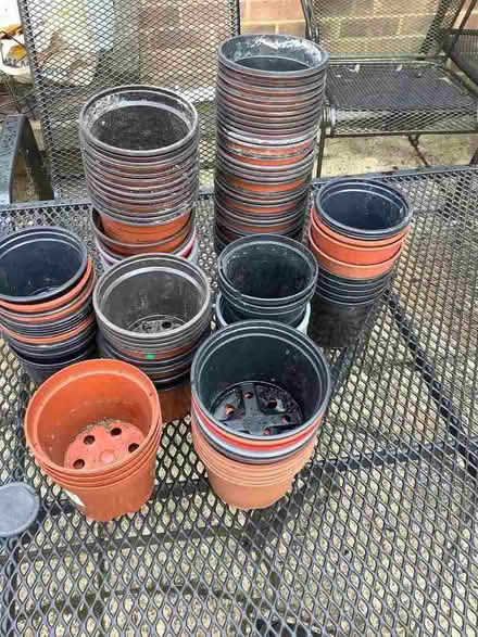 Photo of free Small Plastic plant pots (Nast Hyde Farm AL10) #1