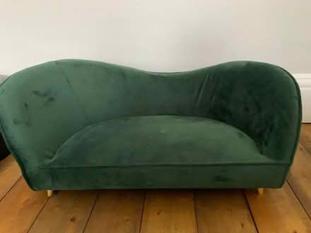 Photo of free Posh dog sofa (Barton upon Irwell M30) #2
