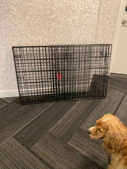 Photo of free Extra large dog crate (West 57th) #1