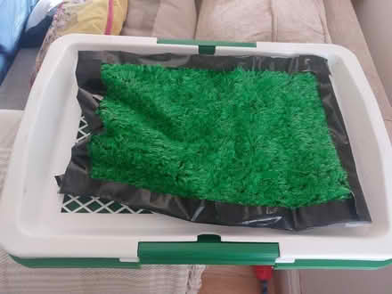 Photo of free Puppy potty training pad (Wolverhampton WV3) #2