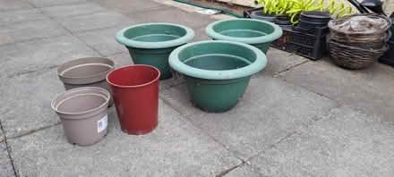 Photo of free Plant pots (Sudbury CO10) #1
