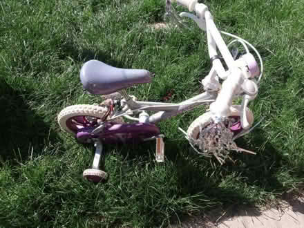 Photo of free Girls bike (Llandrindod LD1) #1