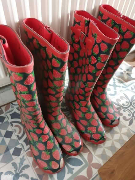 Photo of free Wellies (Yate) #1