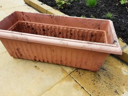 Photo of free Plastic planters (Penarth CF64) #1