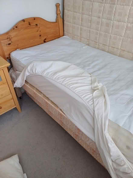 Photo of free Bed with trundle (Brandon, Coventry) #1