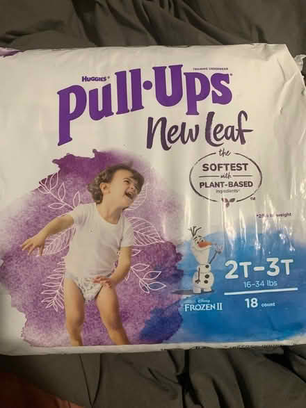 Photo of free Pull Ups (Washington Park) #1
