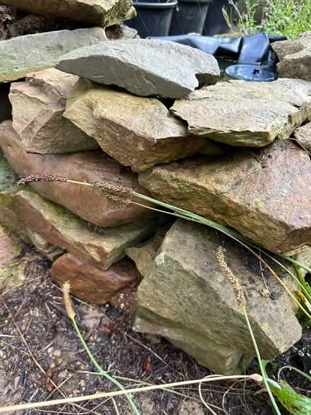 Photo of free Large Garden Rocks/Stones (Millhouses S7) #1