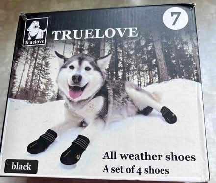 Photo of free All Weather Dog Shoes (ME14 (ME14 (Detling)) #3