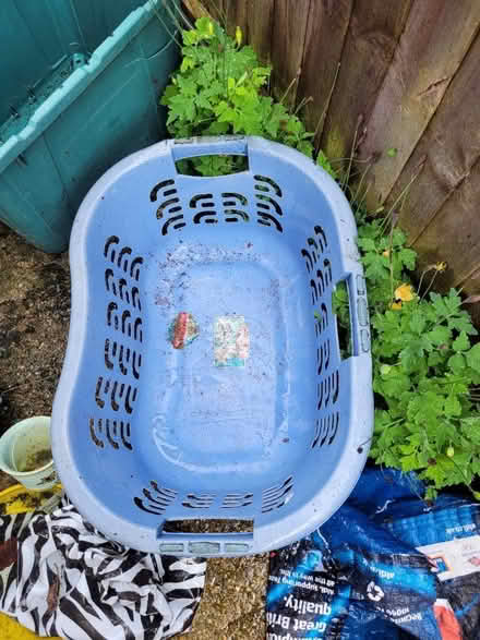 Photo of free Blue Laundry Basket (AL2) #1