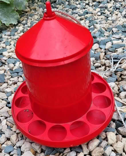 Photo of free Poultry feeder (Upton CH49) #1