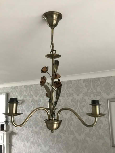 Photo of free Ceiling lights (Thimble End B76) #2