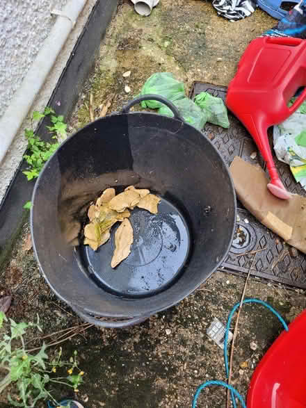 Photo of free Big Black Bucket (AL2) #2