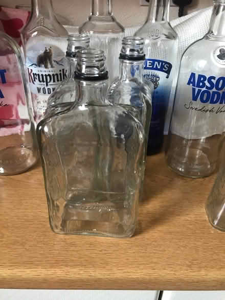 Photo of free Empty bottles for bottle lights etc (Pinxton NG16) #2