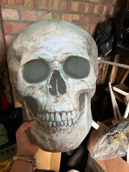 Photo of free Halloween skull (Coventry CV3) #1