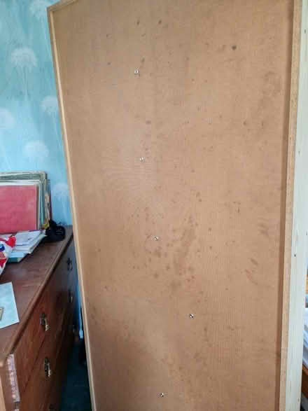 Photo of free Tall Bookcase (Great Moor SK3) #3