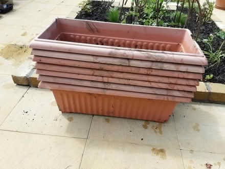 Photo of free Plastic planters (Penarth CF64) #3