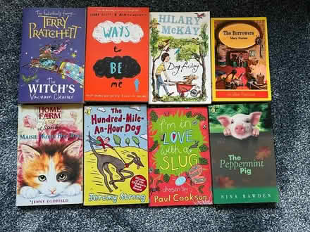 Photo of free Kids Chapter Books (CT3) #3